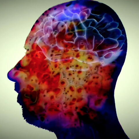 Brainstorm