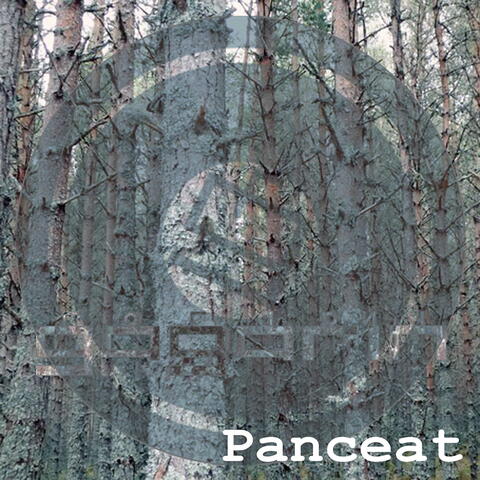 Panceat Remixes