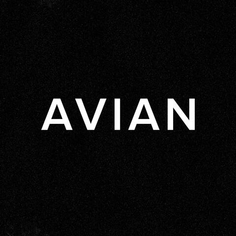 Avn#001