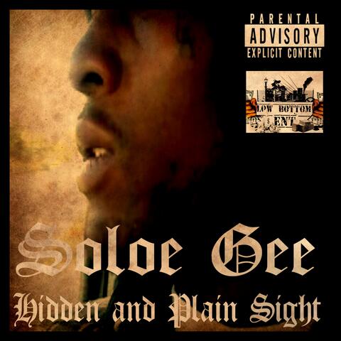 Hidden and Plain Sight