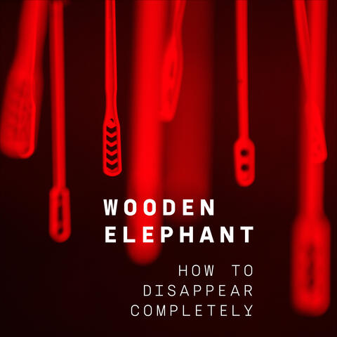 How to Disappear Completely