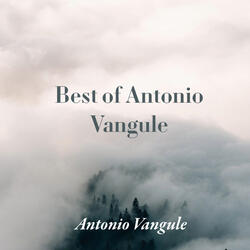 Piano Sonata No. 16 in C Major, K.545 (1st Mvt)