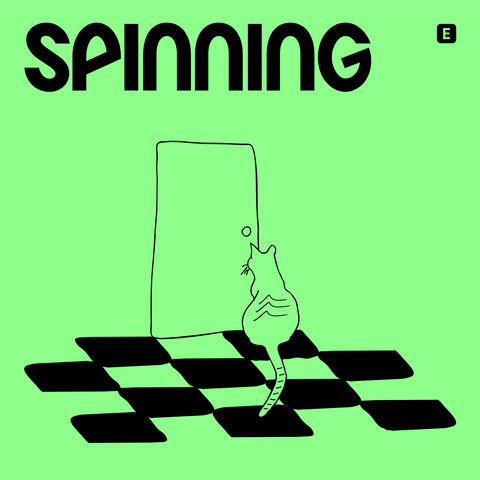 Spinning