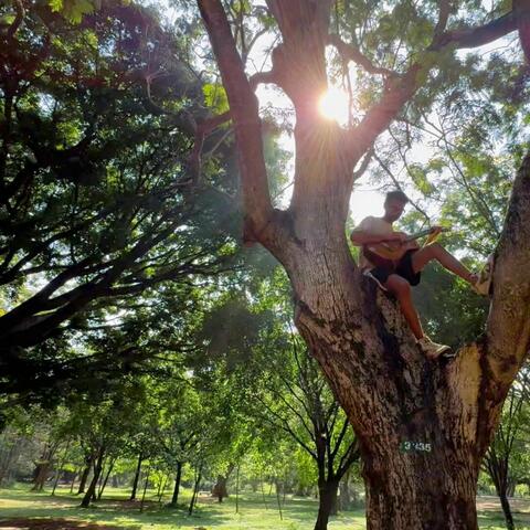 Cubbon Park