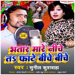 Bhatar Mare Niche Ta Fate Biche Biche