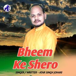 Bheem Ke Shero