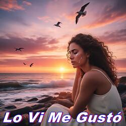 Lo Vi Me Gustó