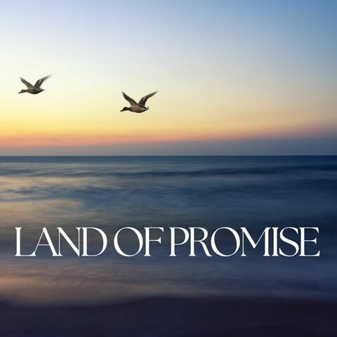 Land Of Promise