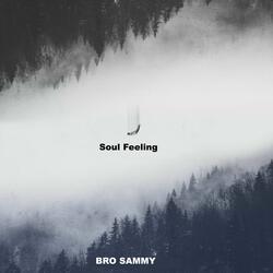 Soul Feeling