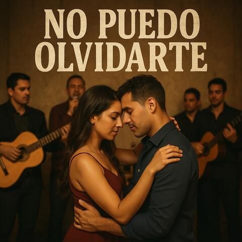 No Puedo Olvidarte