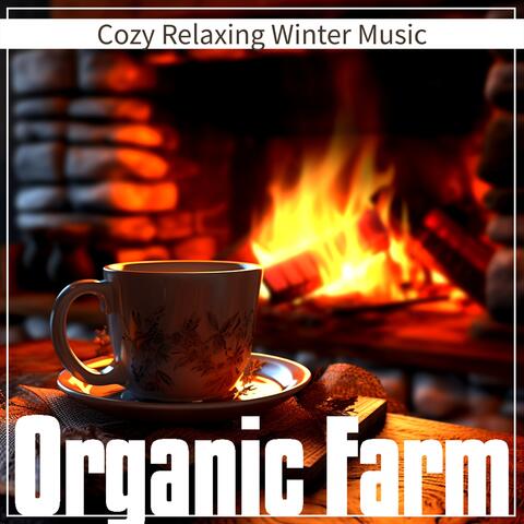Cozy Relaxing Winter Music