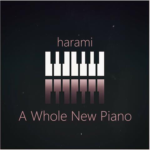 A Whole New Piano
