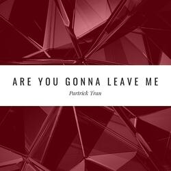Are You Gonna Leave Me