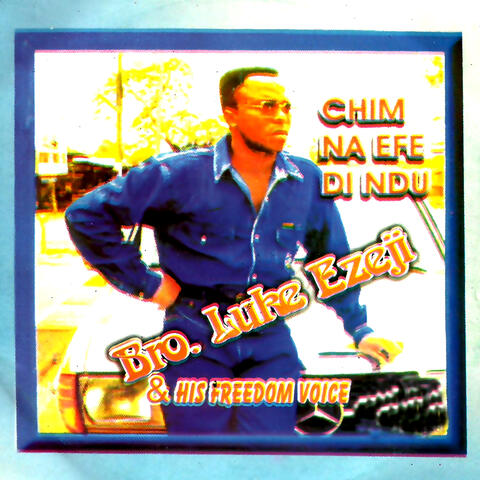 Chim Na Efe Di Ndu