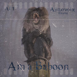 AM A BABOON