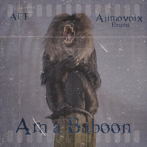 AM A BABOON