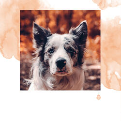 Lumière Rafraîchissante Unique