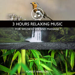Violin Concerto for Deep Sleep