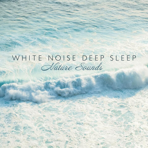 White Noise Zone