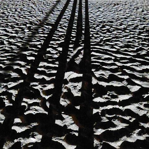 Seth Rees