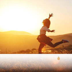 Portail vers la Zone Molle de la Forêt