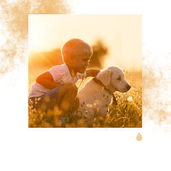 Musique Chill Out Magnétique