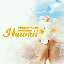 Hawaiian Good Vibes