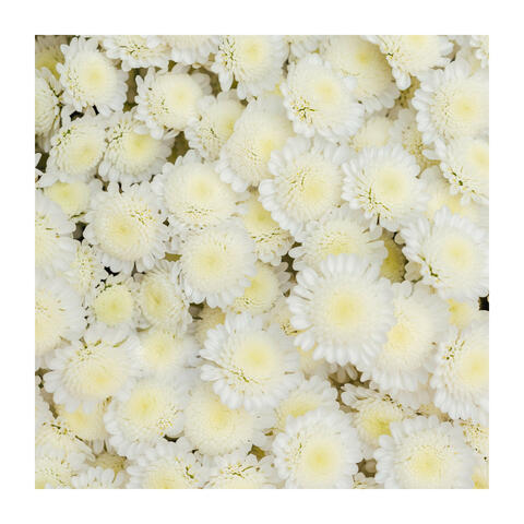 Just Read a Good Book