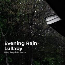 Rain Falling at Night