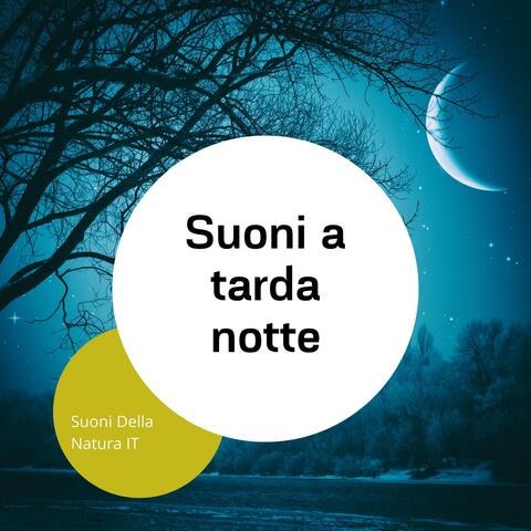 Suoni a tarda notte