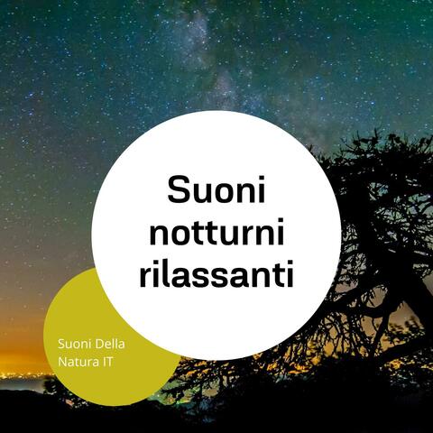 Suoni notturni rilassanti per dormire