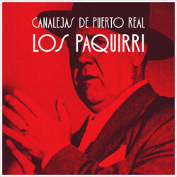 Me Hiciste Mucho Sufrir (Fandangos)