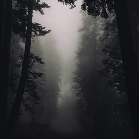 Fodynees