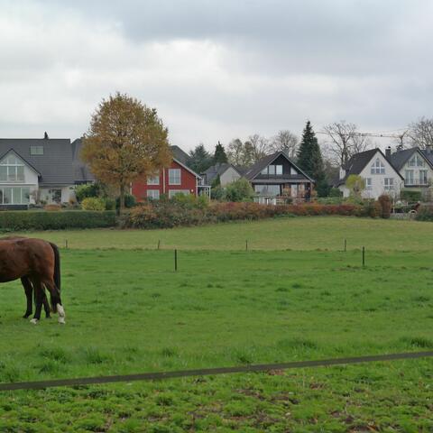 Resias