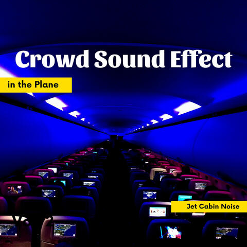 Crowd Sound Effect in the Plane