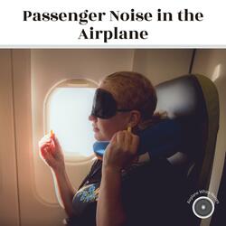 Jet Engine Airplane White Noise (with Crowd Sound)