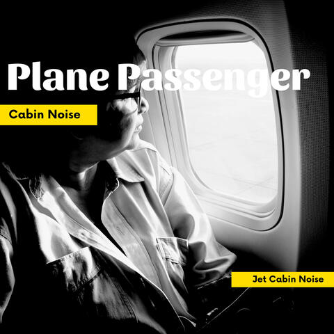 Plane Passenger Cabin Noise, Vol. 2