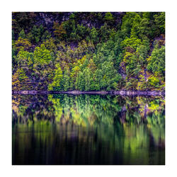 Smells like summer evening