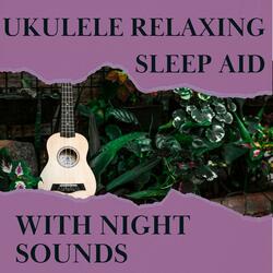 Sleep Ukulele - Enjoy the Moment (with Night Sound)