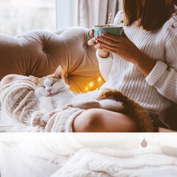 Sons d'oiseaux Hygge Refroidissants