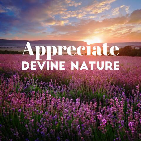 Appreciate Devine Nature: Mental and Physical Healing with Nature Sounds