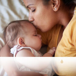 Oiseaux et Vagues de l'Océan du Sud