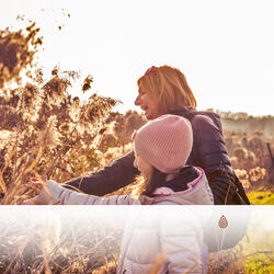 Gouttes de Pluie Ensoleillés au-dessus de la Terre