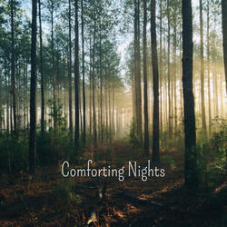 Calmative Space with Stars