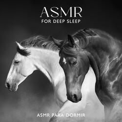 ASMR for Deep Sleep