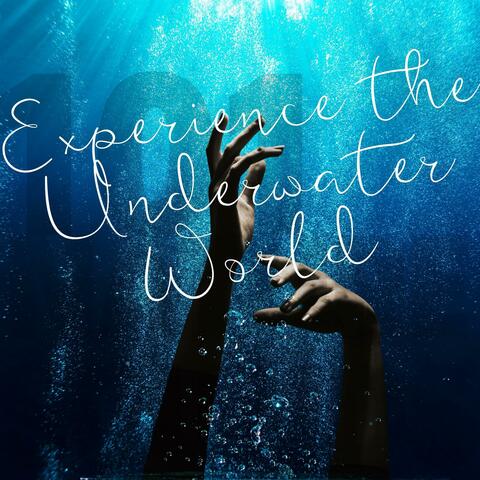 Experience the Underwater World