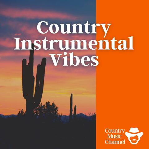 Country Instrumental Vibes
