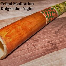 Tribal Orchestra (Didgeridoo Fusion)