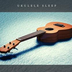 Sleeping Ukulele - Fragile