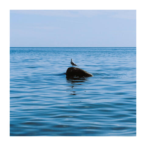 Study and Background Relaxation